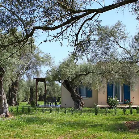 Pamar Village Frínion