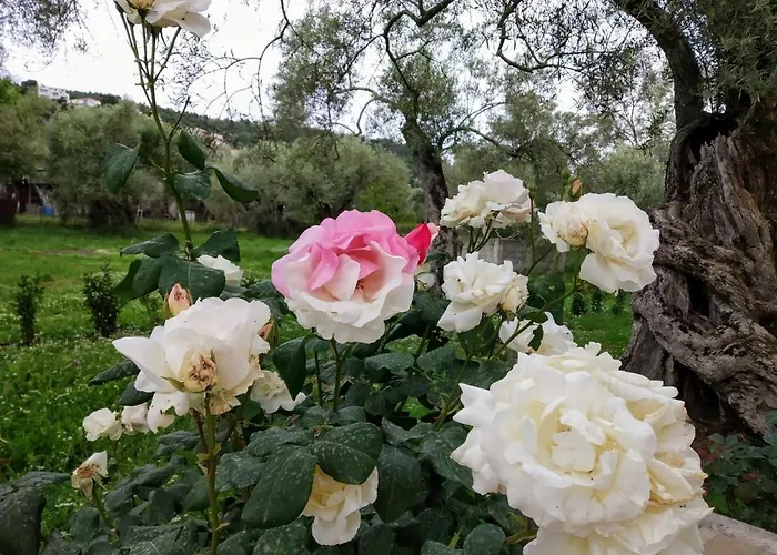 Pamar Village Casa vacanze