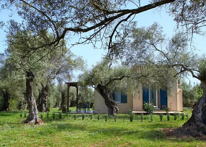 Pamar Village Frínion